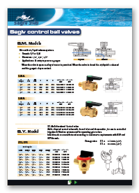 Sagiv Control Ball Valves
